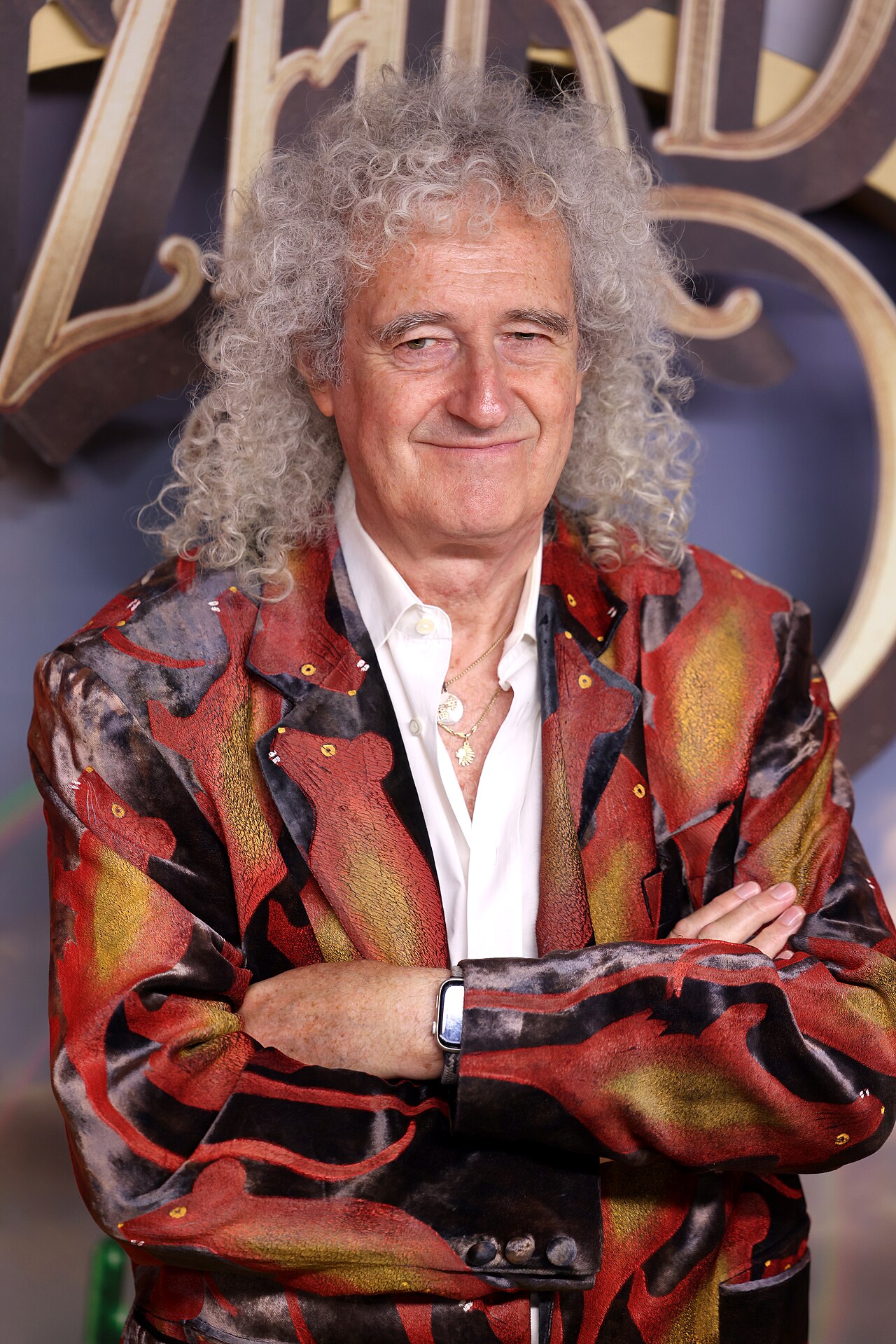 Brian May Rig