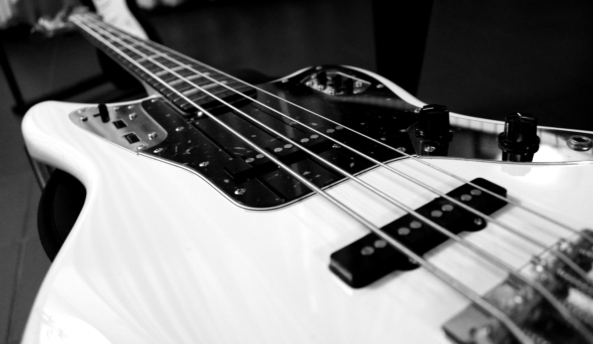 5 Bass Rigs That Cost Less to Build Than Expected in 2026